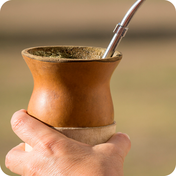 yerba mate